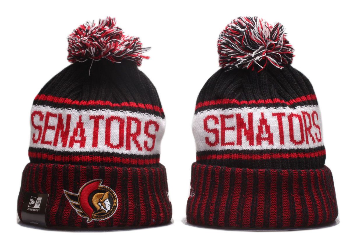 2023 NHL Beanies24->more nhl jerseys->NHL Jersey